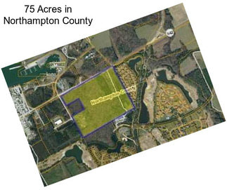 75 Acres in Northampton County