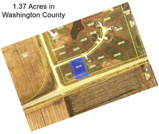 1.37 Acres in Washington County