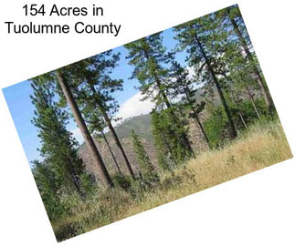 154 Acres in Tuolumne County