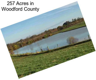 257 Acres in Woodford County