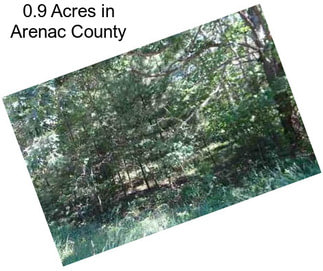 0.9 Acres in Arenac County
