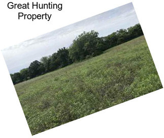 Great Hunting Property