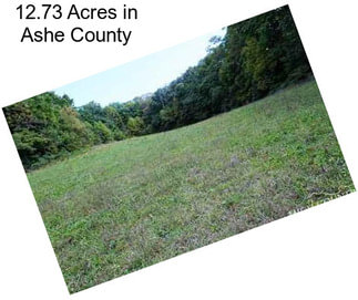 12.73 Acres in Ashe County