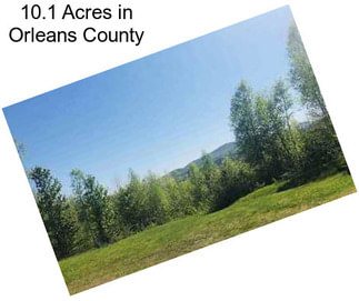 10.1 Acres in Orleans County