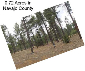 0.72 Acres in Navajo County