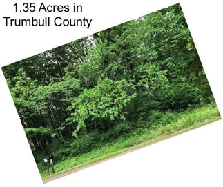 1.35 Acres in Trumbull County