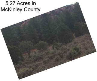 5.27 Acres in McKinley County