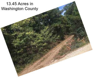 13.45 Acres in Washington County