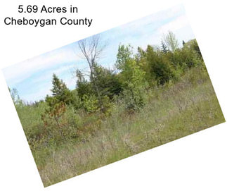 5.69 Acres in Cheboygan County