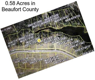 0.58 Acres in Beaufort County