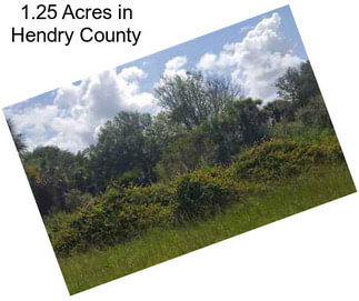 1.25 Acres in Hendry County