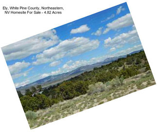 Ely, White Pine County, Northeastern, NV Homesite For Sale - 4.82 Acres