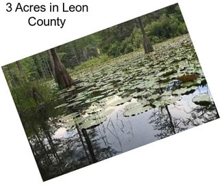 3 Acres in Leon County