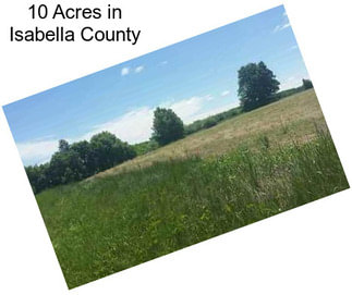 10 Acres in Isabella County