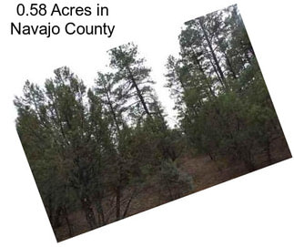 0.58 Acres in Navajo County