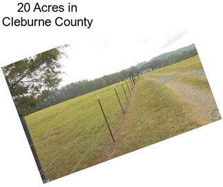 20 Acres in Cleburne County