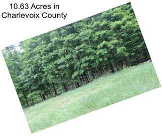 10.63 Acres in Charlevoix County