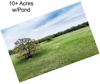 10+ Acres w/Pond