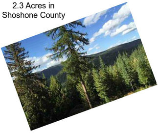 2.3 Acres in Shoshone County