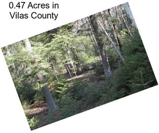 0.47 Acres in Vilas County