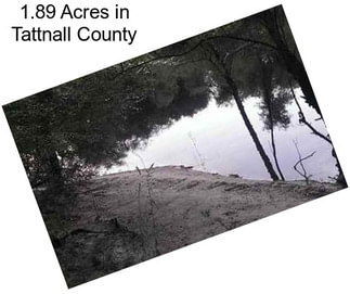 1.89 Acres in Tattnall County