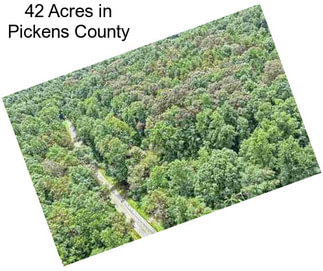 42 Acres in Pickens County