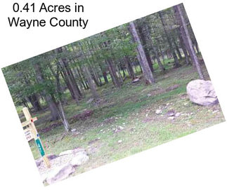 0.41 Acres in Wayne County