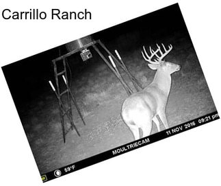 Carrillo Ranch