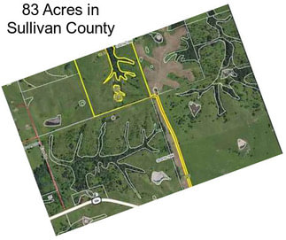 83 Acres in Sullivan County