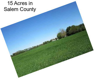 15 Acres in Salem County