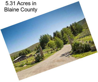 5.31 Acres in Blaine County