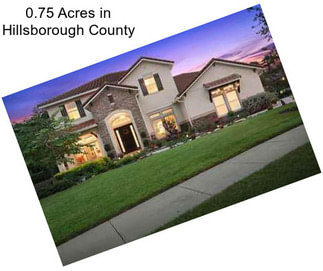 0.75 Acres in Hillsborough County