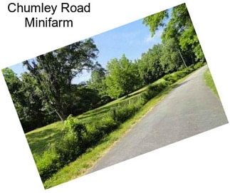 Chumley Road Minifarm