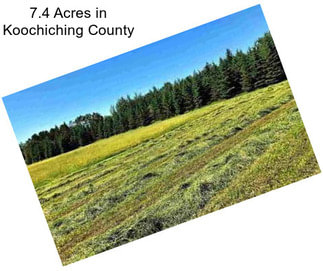 7.4 Acres in Koochiching County