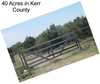 40 Acres in Kerr County