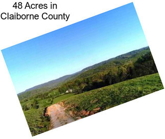 48 Acres in Claiborne County