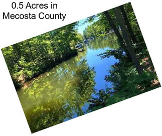 0.5 Acres in Mecosta County