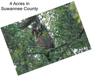 4 Acres in Suwannee County