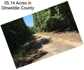 55.14 Acres in Dinwiddie County