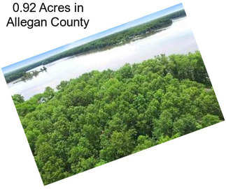 0.92 Acres in Allegan County