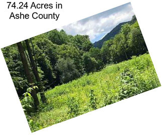 74.24 Acres in Ashe County