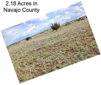 2.18 Acres in Navajo County