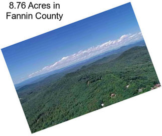 8.76 Acres in Fannin County