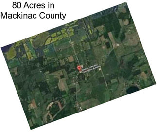 80 Acres in Mackinac County