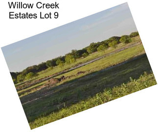 Willow Creek Estates Lot 9
