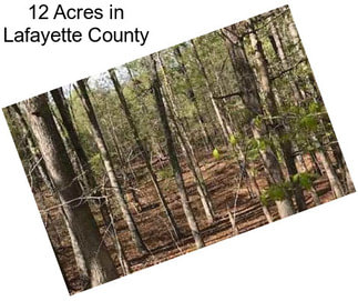 12 Acres in Lafayette County