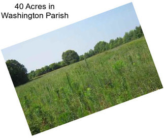 40 Acres in Washington Parish
