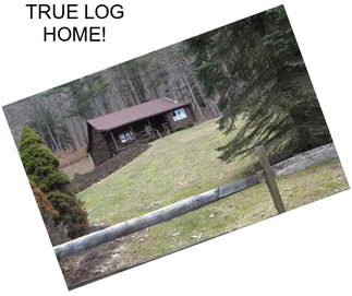 TRUE LOG HOME!