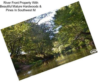 River Front Property With Beautiful Mature Hardwoods & Pines In Southwest M