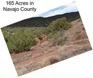 165 Acres in Navajo County